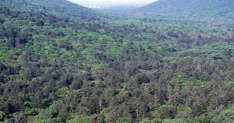 Amendments to the Law on Far Hectare