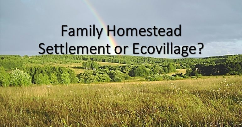 What is Created - Family Homestead Settlement or Ecovillage?