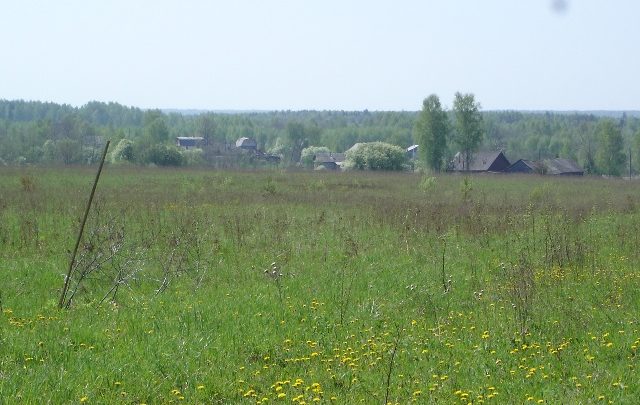 Burtasovo Family Homestead Settlement