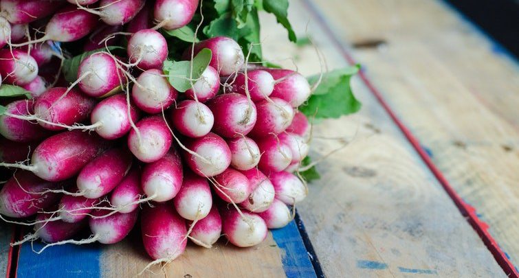 Radish with Cedar Nut Oil