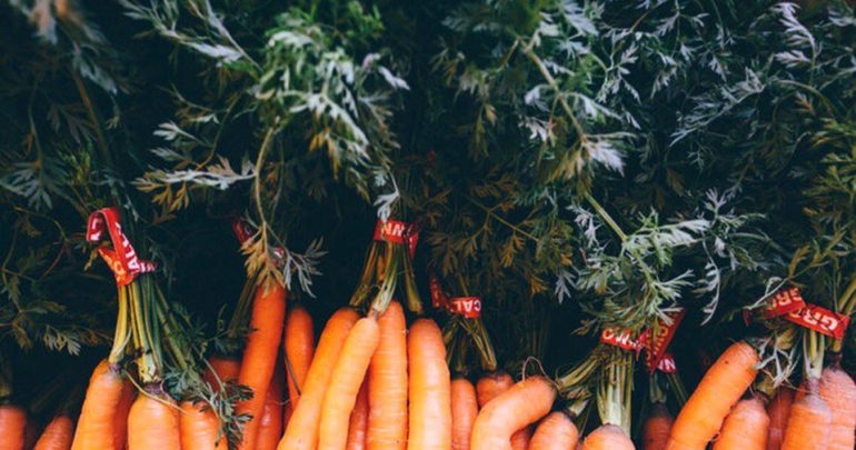 Salad with fresh carrots and sesame seeds ⠀