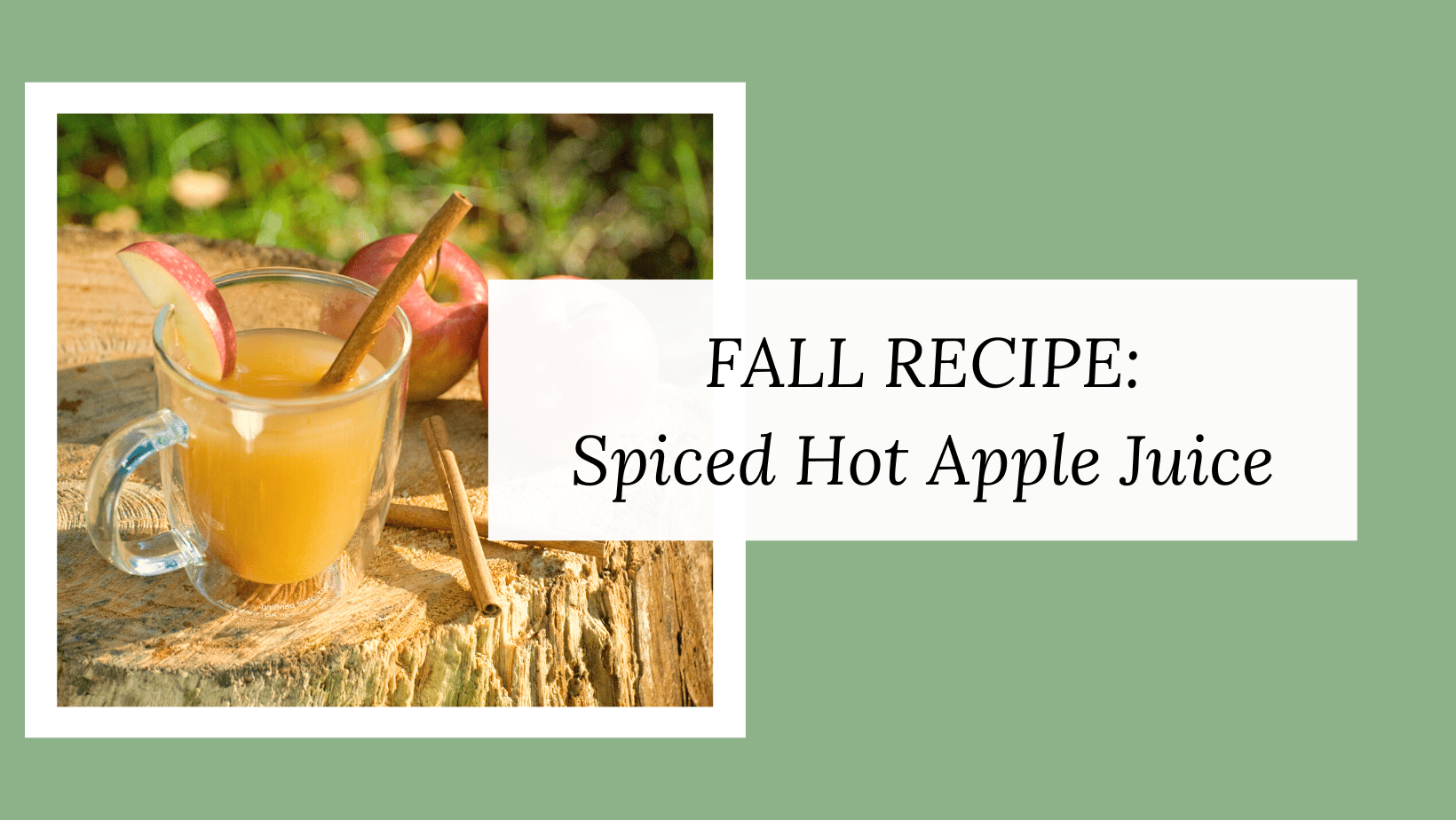 FALL RECIPE Spiced Hot Apple Juice MegreLLC