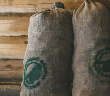 siberian cedar cones in linen bags